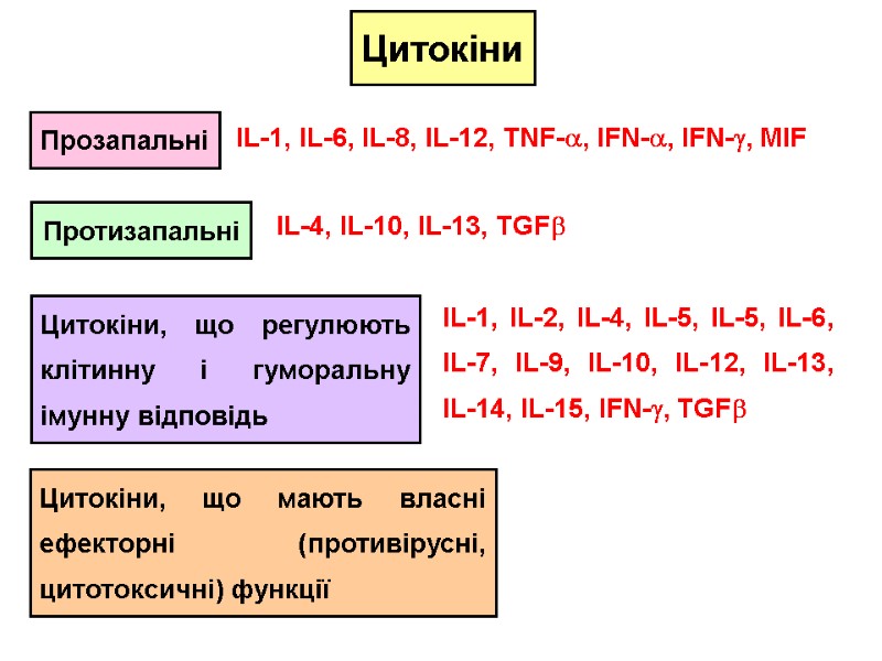 Цитокіни Прозапальні Протизапальні Цитокіни, що регулюють клітинну і гуморальну імунну відповідь Цитокіни, що мають